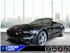 2021
Ford
Mustang